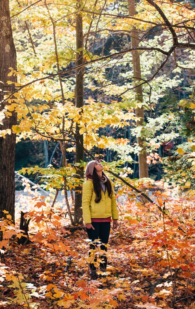 Herbstblues: 5 Tipps für gute Laune in der dunklen Jahreszeit | Autumn blues: 5 tips for good mood in the dark season