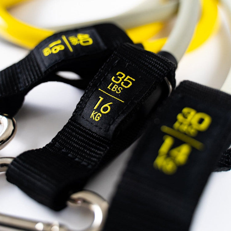 SZ Bar + Bands PAKAMA athletics
