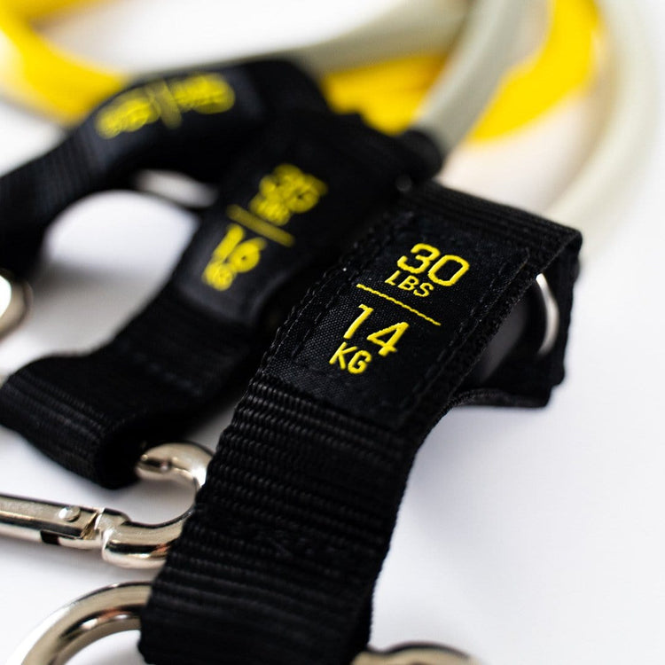 SZ Bar + Bands PAKAMA athletics